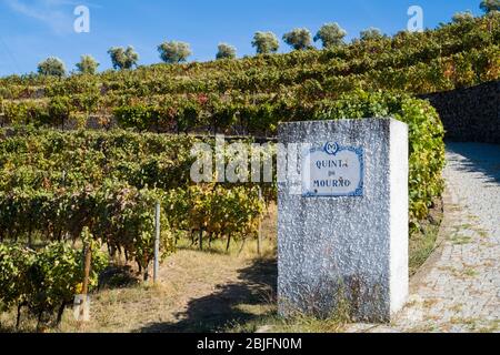 Weinberge von Quinta do Mourao Portweinhütte und Weingut entlang des Flusses Douro nördlich von Viseu in Portugal Stockfoto