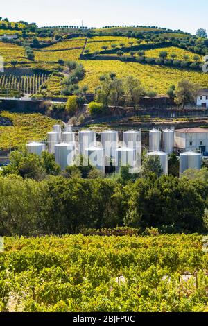 Lagertanks aus Edelstahl für die Portweinproduktion bei Quinta do Castelinho an den Hängen des Flusses Douro in Portugal Stockfoto