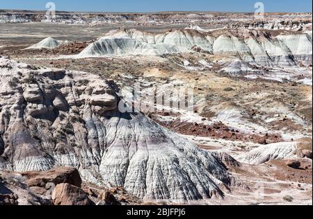 Der Petrified Forest National Park liegt in der Painted Desert von Arizona. Stockfoto