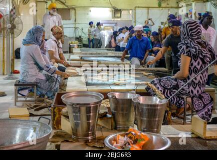 Neu Delhi / Indien - 21. September 2019: Freiwillige bereiten kostenlose Mahlzeiten für Besucher in der Gurdwara Gemeinschaftsküche (Langar Halle) von Sri Bangla Sahi vor Stockfoto