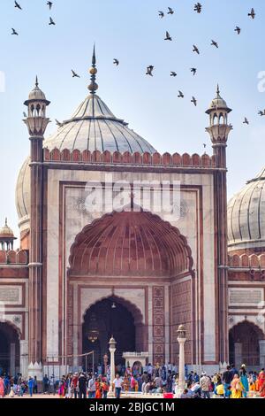 Masjid e Jahan Numa, Jama Masjid Moschee in Alt-Delhi, eine der größten Moscheen in Indien Stockfoto