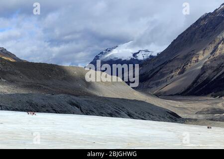 Wanderer in der Ferne auf dem Athabasca Glacier of Columbia Ice Field in Alberta, Kanada Stockfoto