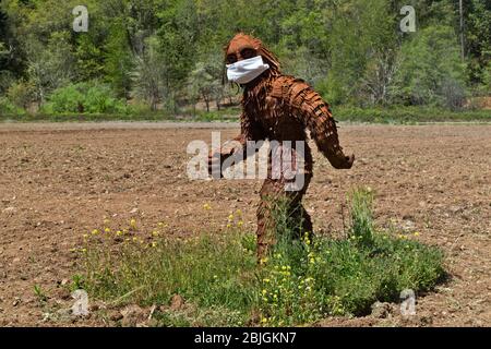 Bigfoot trägt COVID-19 Antivirus-Maske, durch kultiviertes Feld, Waldrand. Stockfoto