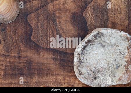 Eine Amphore und einige Muscheln auf einer rauen Holzstruktur Grunge Meer gewaschen verwittertes Holz und bunte Seeigel Muscheln Draufsicht, gefiltertes Bild mit Stockfoto