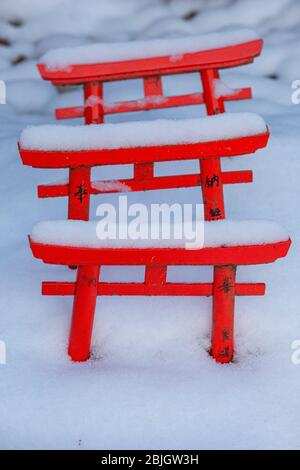 Torii-Tor in Koyasan ist torri ein traditionelles japanisches Tor, das am häufigsten am Eingang oder innerhalb eines schintoistischen Schreines gefunden wird. Stockfoto