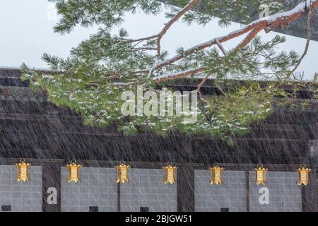 Laternen im Schnee, Koyasan Mount Koya, Wakayama, Japan Stockfoto