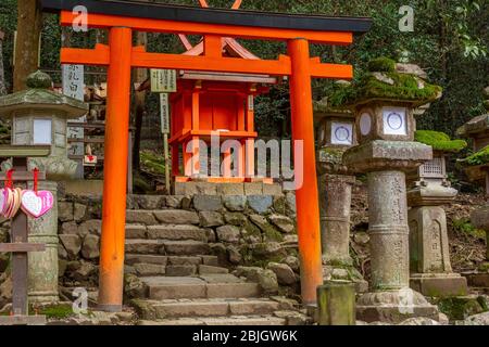 Torri-Tor vor dem Schrein im Kasuga Taisha-Schrein-Bereich, Nara perfecture, Japan Stockfoto