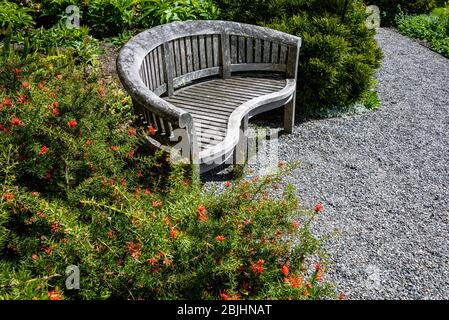 Verwitterte Holzbank neben einem Schotterweg in einem sonnigen Garten Stockfoto