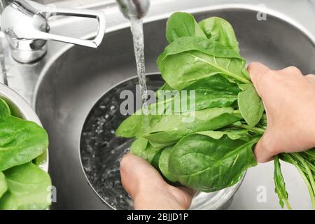 Frau, die Spinat im Waschbecken spüle Stockfoto