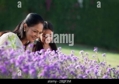 Mädchen und ihre Großmutter in einem Garten Stockfoto