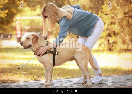 Blinde im Park helfen Hund Stockfoto