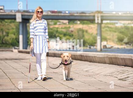 Blindenhund hilft blinder Frau auf der Böschung Stockfoto