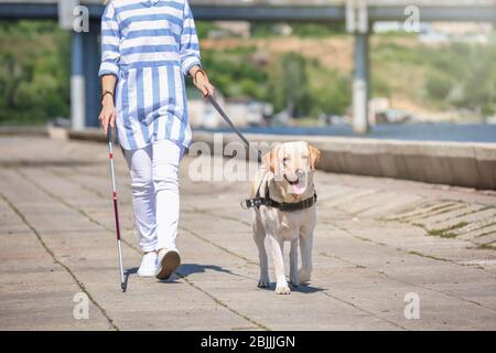 Blindenhund hilft blinder Frau auf der Böschung Stockfoto