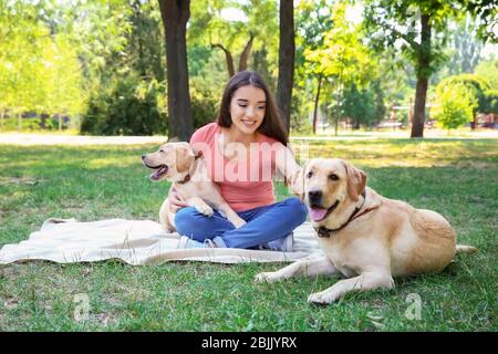 Junge Frau mit gelben Retriever, die im Park ruhen Stockfoto