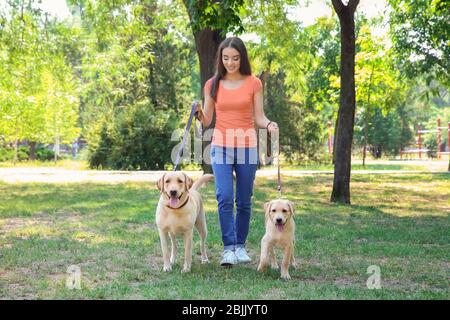 Junge Frau, die mit gelben Retriever im Park geht Stockfoto