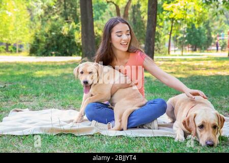 Junge Frau mit gelben Retriever, die im Park ruhen Stockfoto