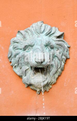 Springbrunnen Löwe auf orangefarbener Wand Stockfoto