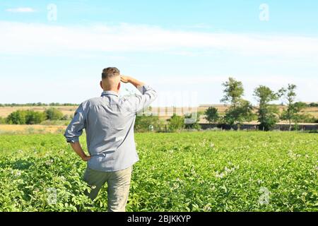 Bauer steht im Feld mit grünen Pflanzen Stockfoto