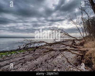 Ländliche Küste auf der Insel als in der Nähe von Fynshav in Dänemark Stockfoto