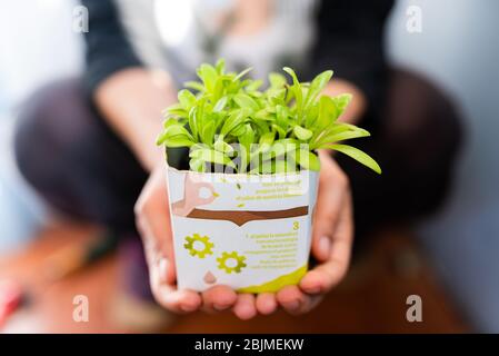 Barcelona, spanien - 29. april 2020: Junge Frau gibt im Frühjahr Gartenarbeit auf der Terrasse und hält Ringelblumenkübel auf diy-Topf Stockfoto