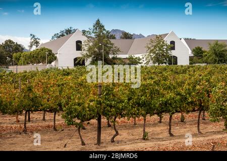 Südafrika; Stellenbosch; Dorp Street. Town Center Weinberg am Rupert Museum Stockfoto