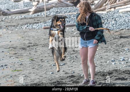 Junge Frau spielt mit ihrem Hund am Strand, Mystic Beach, British Columbia, Kanada Stockfoto