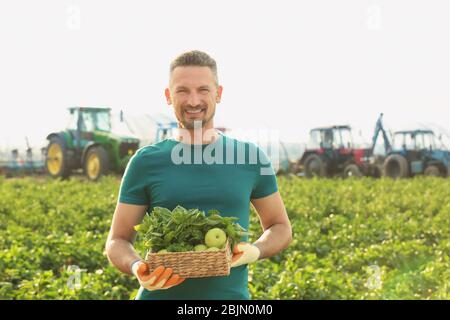 Bauer mit Weidenkorb mit Kräutern und Äpfeln im Feld Stockfoto