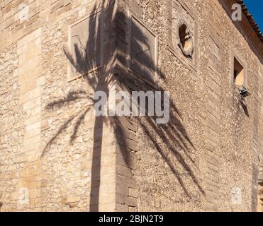 Schatten einer Palme auf ein historisches Gebäude projiziert. Mallorca, Spanien Stockfoto