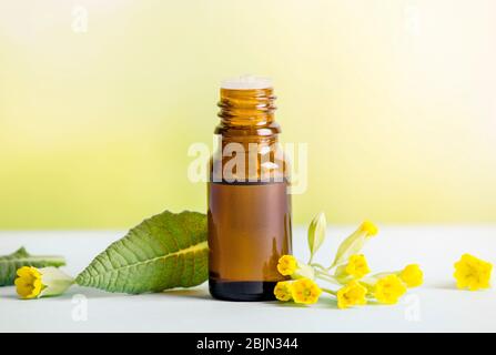 Primula veris (Kuhuntern, gemeiner Kuhuntern, Kuhuntern-Primeln; syn. Primula officinalis Hill Tinktur Öl in Flasche mit frischem Blatt und Blüten auf grünem b Stockfoto