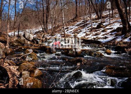 Knabe kniet auf einem gefallenen Baumstamm über Stromschnellen, USA Stockfoto