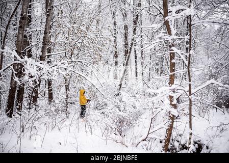 Junge, die Wälder im Schnee erkunden, USA Stockfoto