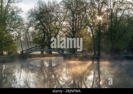 Blick über die Isis (Themse in Oxford) auf eine Brücke über den Fluss Cherwell (wo der Cherwell die Themse trifft) und Christ Church Wiese Stockfoto