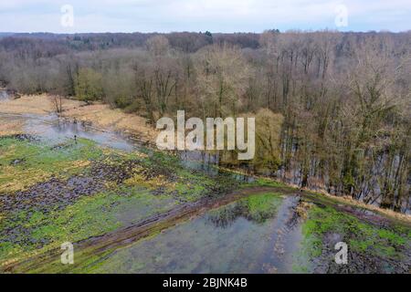 Überflutetes Naturschutzprojekt Steinbruchwiesen im februar, Deutschland, Schleswig-Holstein, Ritzerau Stockfoto