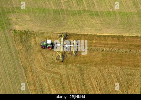Traktor mit Heuzettwender auf landwirtschaftlichen Feldern in Gladbeck, 22.09.2016, Luftaufnahme, Deutschland, Nordrhein-Westfalen, Ruhrgebiet, Gladbeck Stockfoto