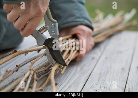 Nisthilfe für Wildbienen, Schritt zwei, Schneiden von Schafstängeln in 1 m Stücke Stockfoto