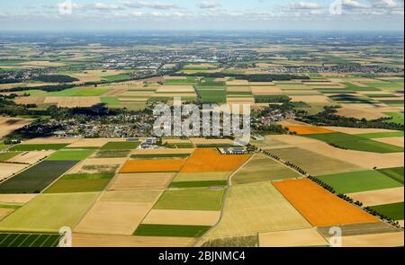 , Feldlandschaft bei Loevenich, 05.10.2016, Luftaufnahme, Deutschland, Nordrhein-Westfalen, Niederrhein, Erkelenz Stockfoto