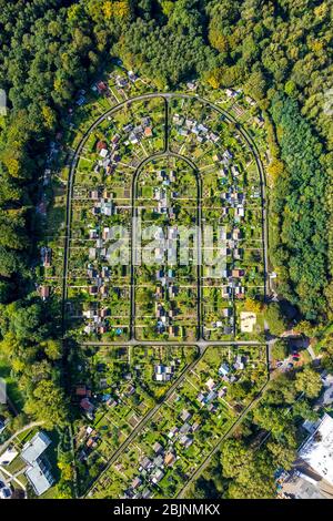 Kleingartenanlage Rottmannshof, Harpener Heide, 27.09.2019, Luftaufnahme, Deutschland, Nordrhein-Westfalen, Ruhrgebiet, Bochum Stockfoto