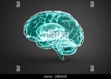 3d-Darstellung des menschlichen Gehirns über dunklem Hintergrund mit weichem Schatten. Stockfoto