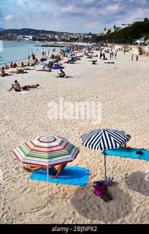 Strand von Cannes, Cote d'Azur, Provence, Frankreich. Stockfoto