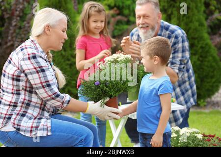 Ältere Paare mit Enkelkindern arbeiten im Garten Stockfoto