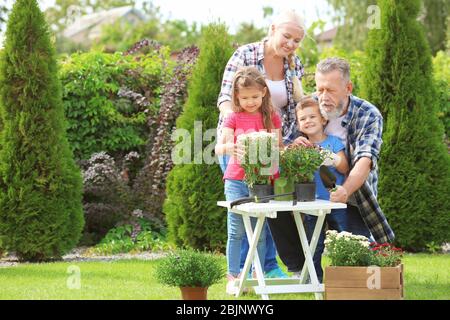 Ältere Paare mit Enkelkindern arbeiten im Garten Stockfoto