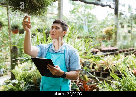 Junge asiatische Florist inspiziert Qualität und Wachstum der grünen Pflanze Stockfoto