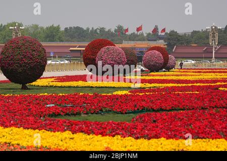 Peking, China. April 2020. Foto aufgenommen am 30. April 2020 zeigt Blumenbeete zur Feier des bevorstehenden Internationalen Tages der Arbeit auf dem Tian'anmen Platz in Peking, der Hauptstadt Chinas. Kredit: Ju Huanzong/Xinhua/Alamy Live News Stockfoto