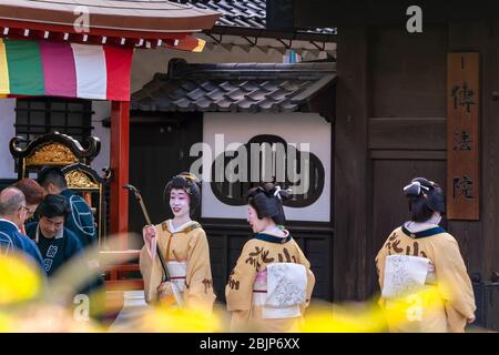 tokio, japan - märz 18 2020: Matsuri-Bayashi-Musiker halten während des traditionellen goldenen Drachen-Dan einen Shamisen vor dem Denbouin-Garten Stockfoto