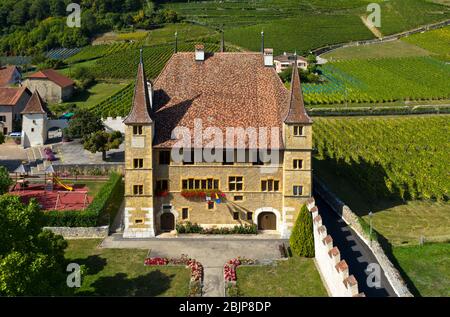 Schloss Cressier, Cressier, Kanton Neuchâtel, Schweiz Stockfoto