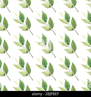 Nahtloses Blumenmuster im Vintage-Stil. Blätter und Kräuter. Botanische Abbildung. Buchsbaum, gesäte Eukalyptus, Farn, Maidenhair. Stockfoto