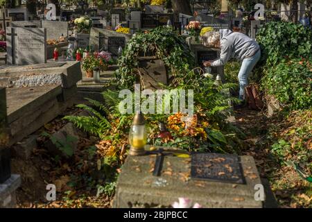 Eine Frau zündet eine Kerze auf dem Rakowicki Friedhof in Krakau, Polen 2019 an. Stockfoto