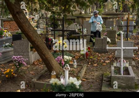 Eine Frau zündet eine Kerze auf dem Rakowicki Friedhof in Krakau, Polen 2019 an. Stockfoto