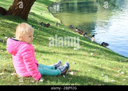 Nettes kleines Mädchen, das Enten im Streichelzoo ansieht Stockfoto