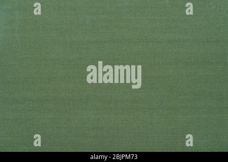 Grüne Farbe abstrakt Weide Textur für Hintergrund. Nahaufnahme Detail Makro Fotografie Ansicht von Textur Dekoration Material, Muster Hintergrund Design Stockfoto